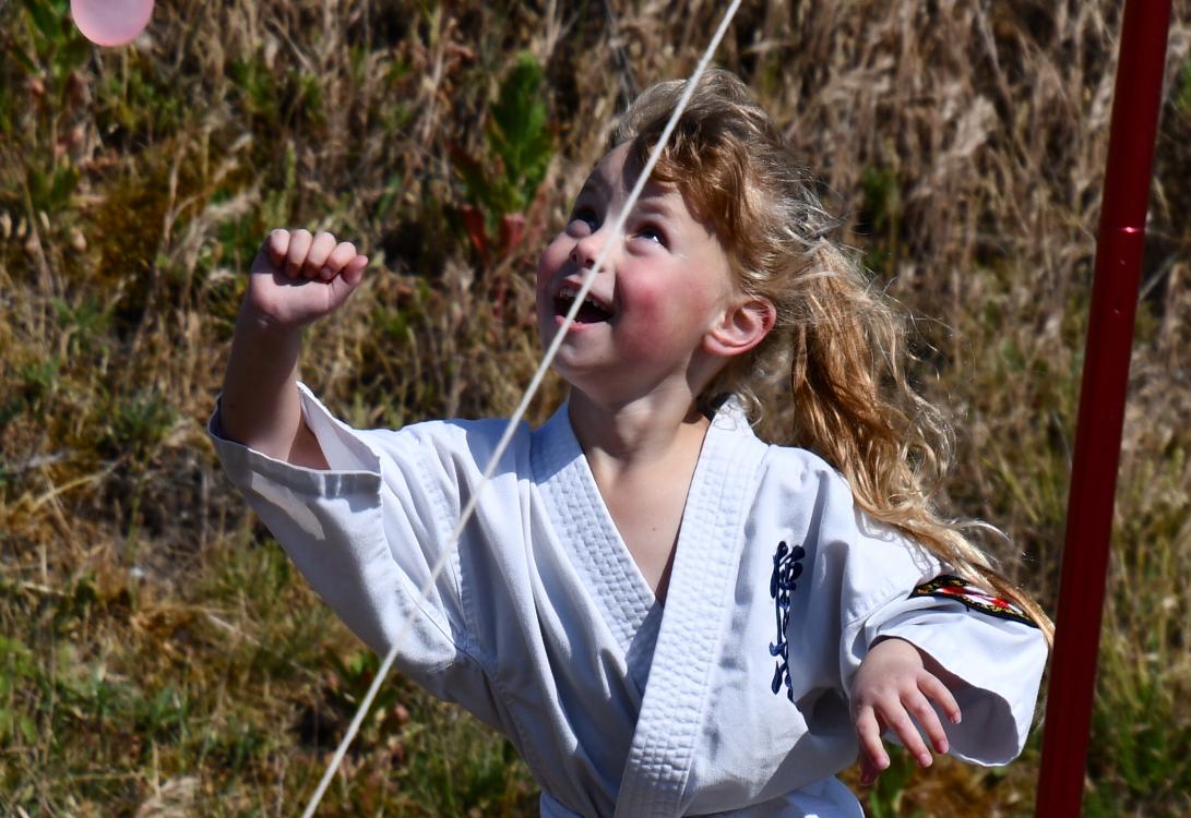 Karate kyokushin