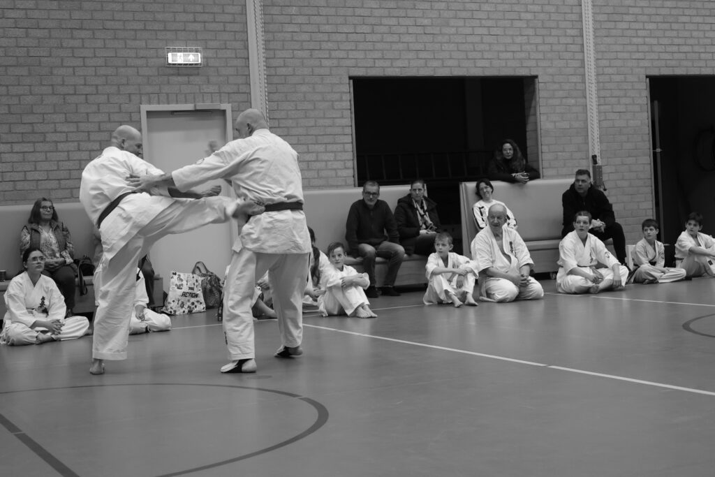 Kyokushin Karate Achterhoek