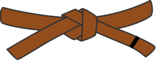 1.kyū Kyokushin Belt 1.kyū Kyokushin Belt