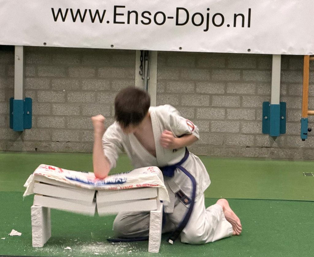 Kyukushin karate Achterhoek