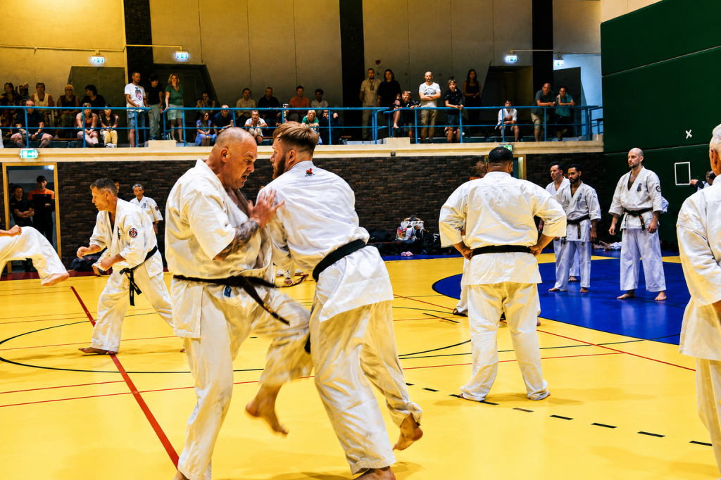 Karate kyokushin Doetinchem